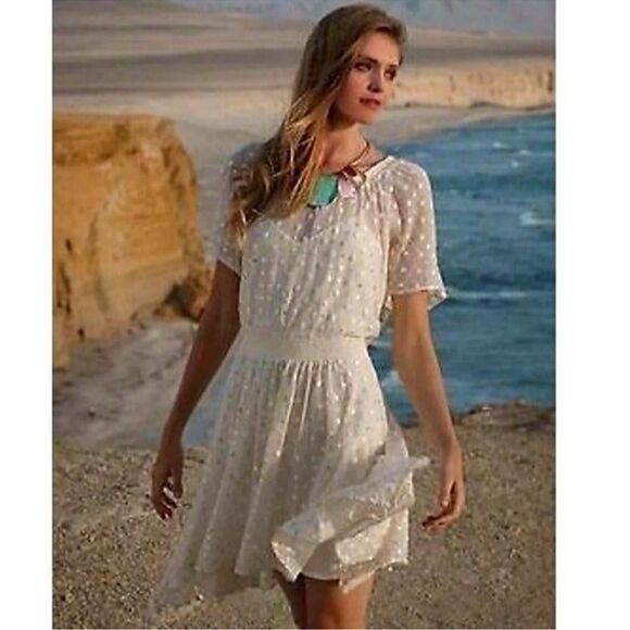 Anthropologies Leifnotes Ivory Dot Embroidered Mesh Dress – Size 8 - Picture 1 of 13